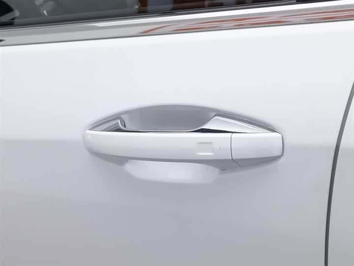 Exeed LX 2022 2022款 乘风破浪版 1.5T CVT好事花生版