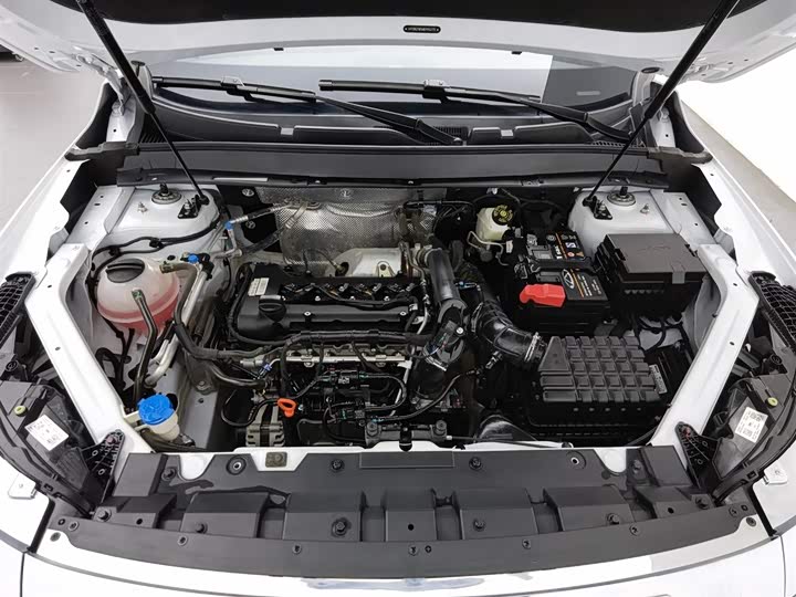 Exeed LX 2022 2022款 乘风破浪版 1.5T CVT好事花生版