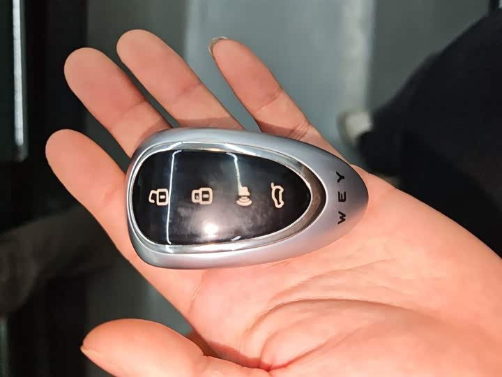 Wey Lanshan 2025 2025款 四驱智驾 Ultra