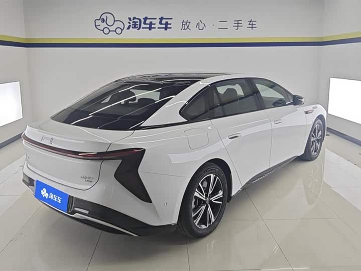 Hongqi EH7 2024 2024款 690 Pro