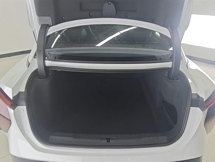 Hongqi EH7 2024 2024款 690 Pro