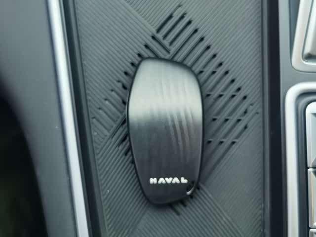 Haval Ruge Max 2023 2023款 1.5L Hi4 105 四驱智能旗舰版