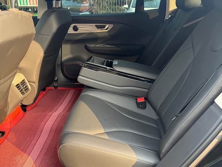 Hongqi E-QM5 2024 2024款 610km PLUS