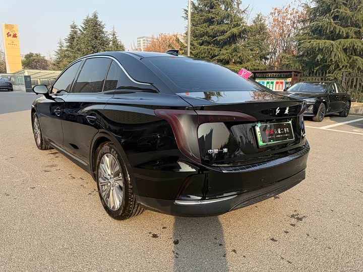 Hongqi E-QM5 2024 2024款 610km PLUS
