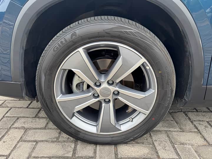 Geely Okavango L 2024 2024款 2.0T DCT尊贵型