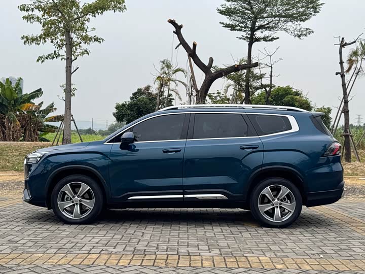 Geely Okavango L 2024 2024款 2.0T DCT尊贵型