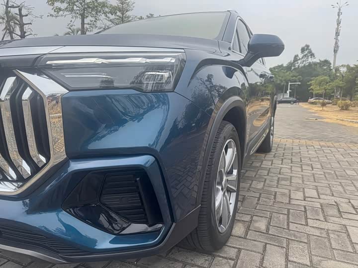 Geely Okavango L 2024 2024款 2.0T DCT尊贵型