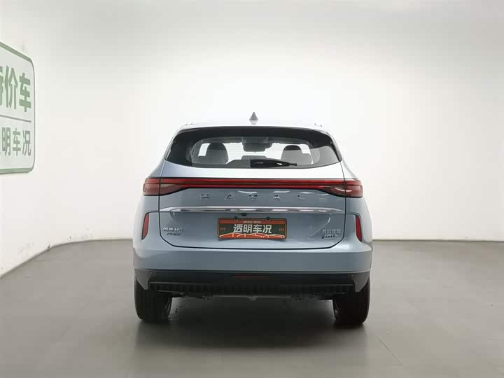 Haval H6 Hybrid 2023 2023款 DHT-PHEV 110KM 悦行版