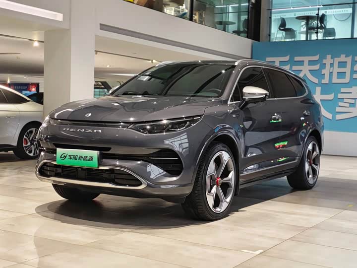2020 Denza X