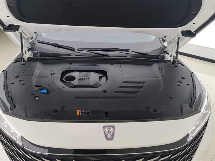 Roewe RX5 2023 2023款 1.5T 尊荣滑屏版