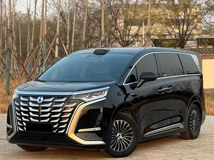 Denza D9 2025 2025款 DM-i 智驾版 1020 四驱尊荣型