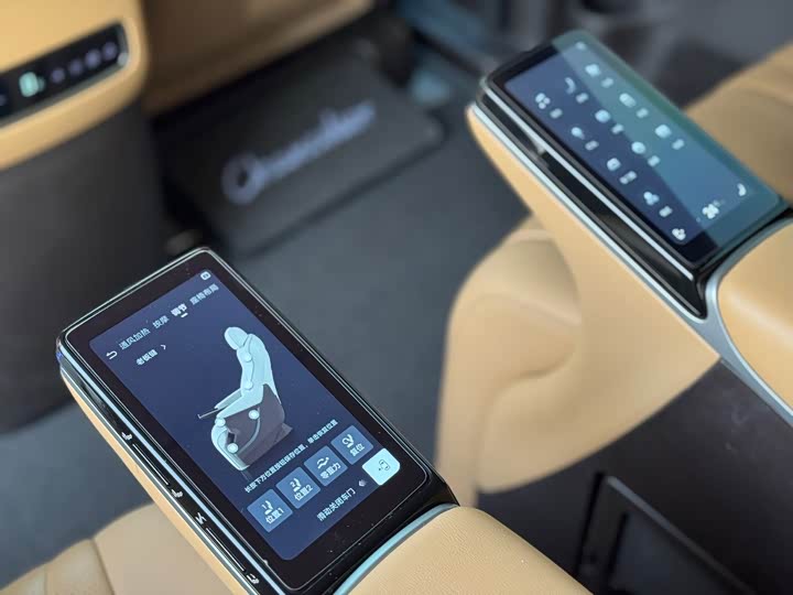 Denza D9 2025 2025款 DM-i 智驾版 1020 四驱尊荣型