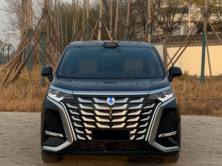 Denza D9 2025 2025款 DM-i 智驾版 1020 四驱尊荣型