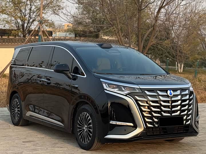 Denza D9 2025 2025款 DM-i 智驾版 1020 四驱尊荣型