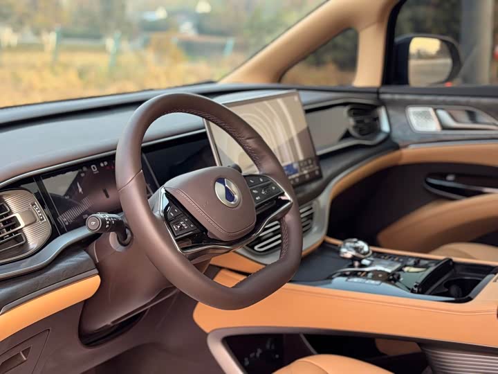 Denza D9 2025 2025款 DM-i 智驾版 1020 四驱尊荣型