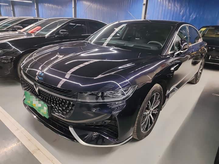 Voyah Passion 2024 2024款 PHEV 四驱超长续航行政版
