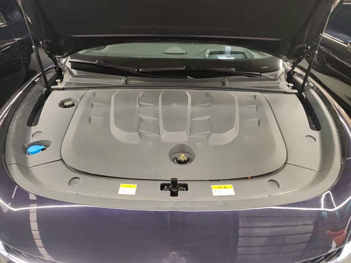 Voyah Passion 2024 2024款 PHEV 四驱超长续航行政版