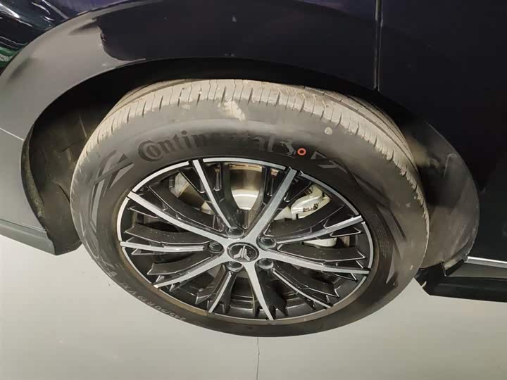 Voyah Passion 2024 2024款 PHEV 四驱超长续航行政版