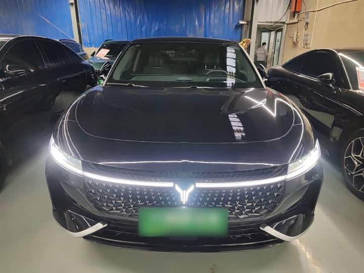 Voyah Passion 2024 2024款 PHEV 四驱超长续航行政版