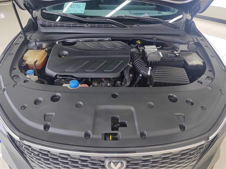 Changan Raeton Plus 2023 2023款 1.5T DCT领航型