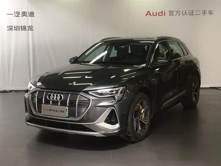 Audi e-tron 2021 2021款 50 quattro 臻选型