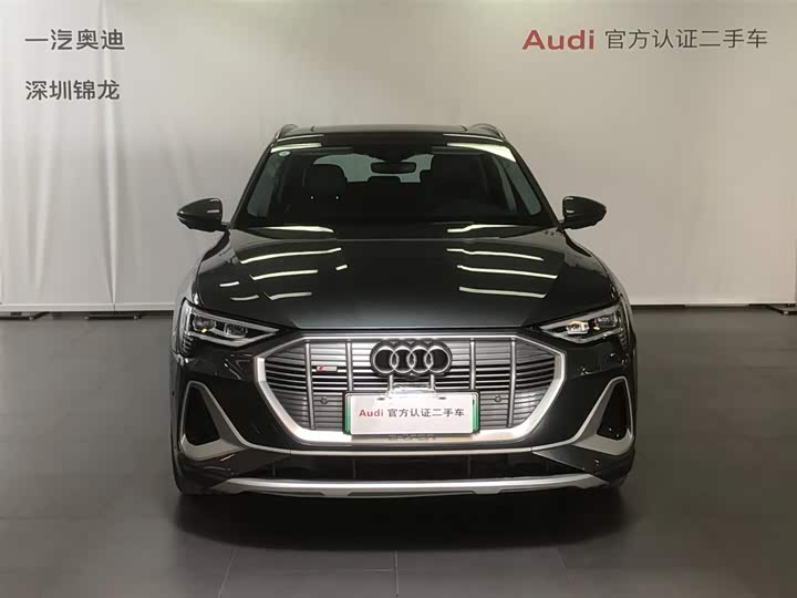 Audi e-tron 2021 2021款 50 quattro 臻选型