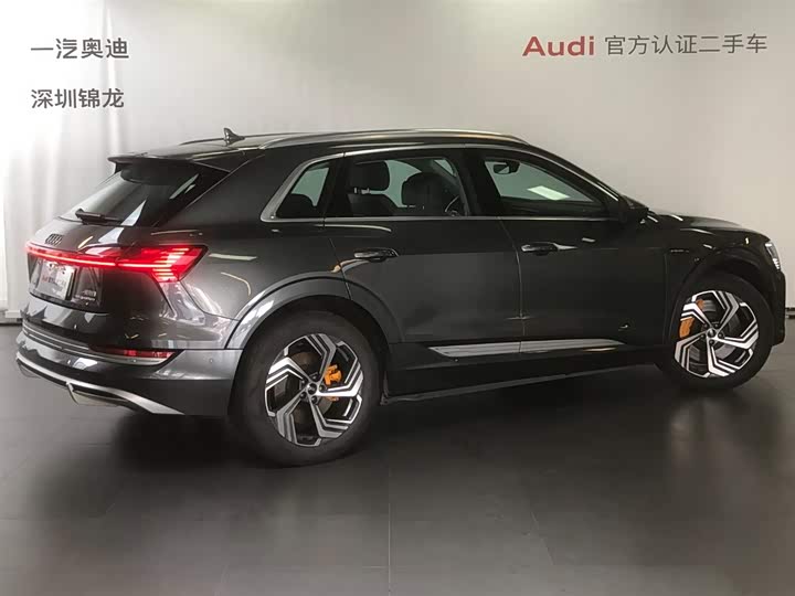 Audi e-tron 2021 2021款 50 quattro 臻选型