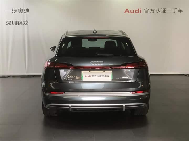 Audi e-tron 2021 2021款 50 quattro 臻选型