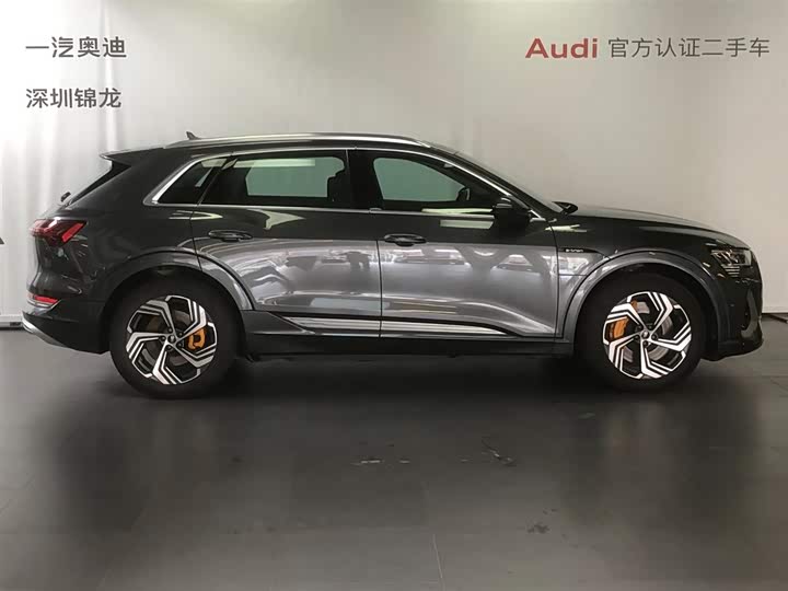 Audi e-tron 2021 2021款 50 quattro 臻选型