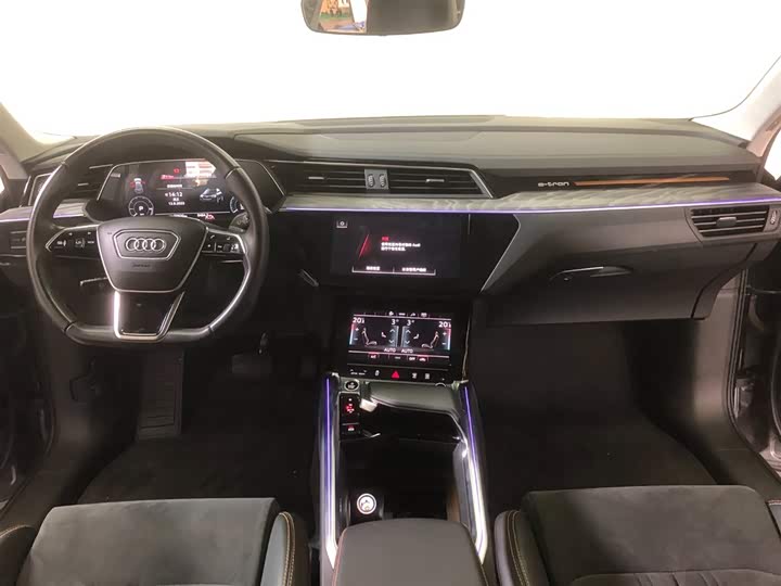 Audi e-tron 2021 2021款 50 quattro 臻选型