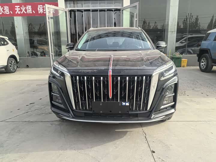 Hongqi HS3 Hybrid 2025 2025款 117km 劲为版