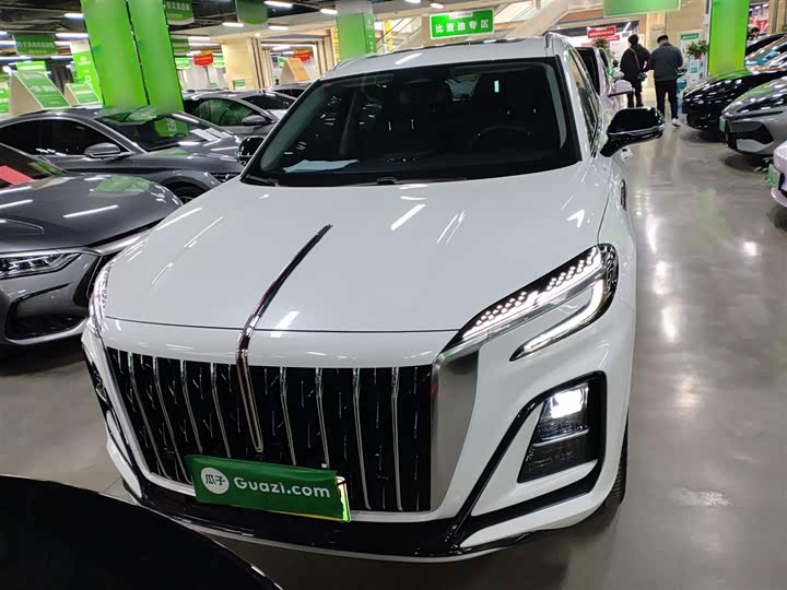 Hongqi HS3 Hybrid 2024 2024款 115km 劲为版