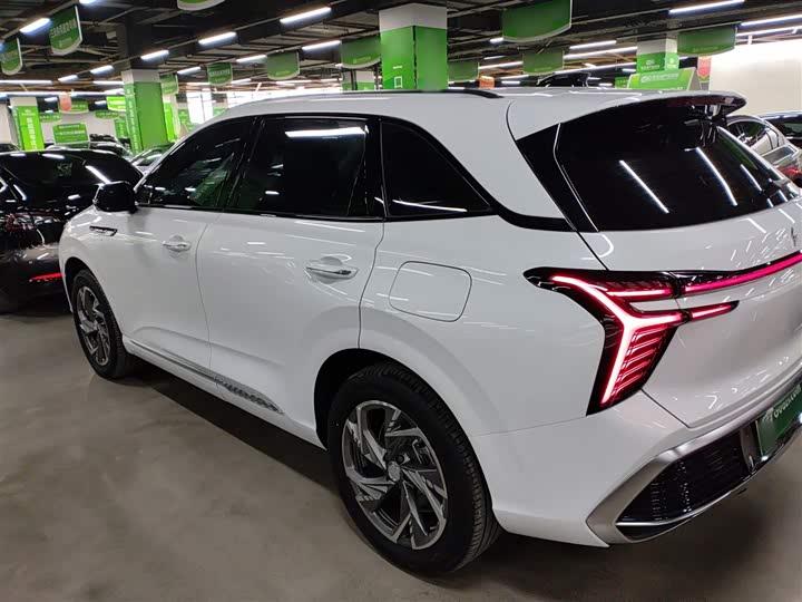 Hongqi HS3 Hybrid 2024 2024款 115km 劲为版