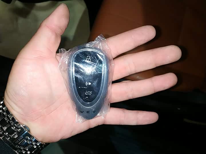 Wey Lanshan 2025 2025款 四驱智驾 Ultra