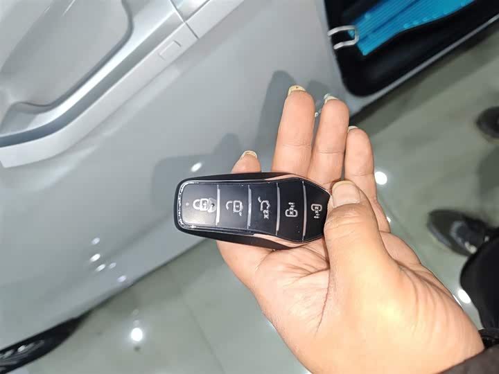 BYD Xia 2025 2025款 DM-i 1.5T 180km 超越型