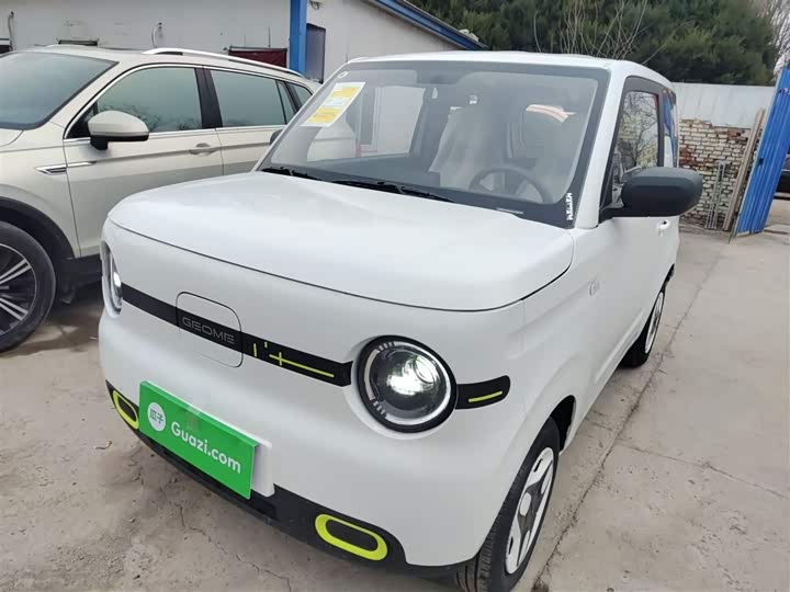 Geely Galaxy Panda Mini 2025 2025款 熊猫mini 210km 元气熊