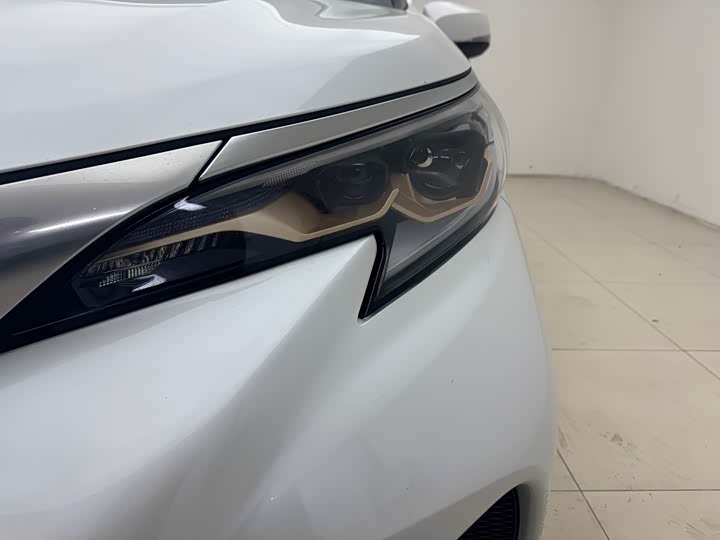 Toyota Granvia 2024 2024款 2.5L混动 尊贵PLUS版