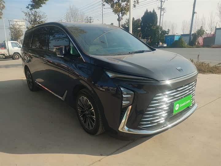 Buick GL8 ES 2025 2025款 陆尊 尊享版