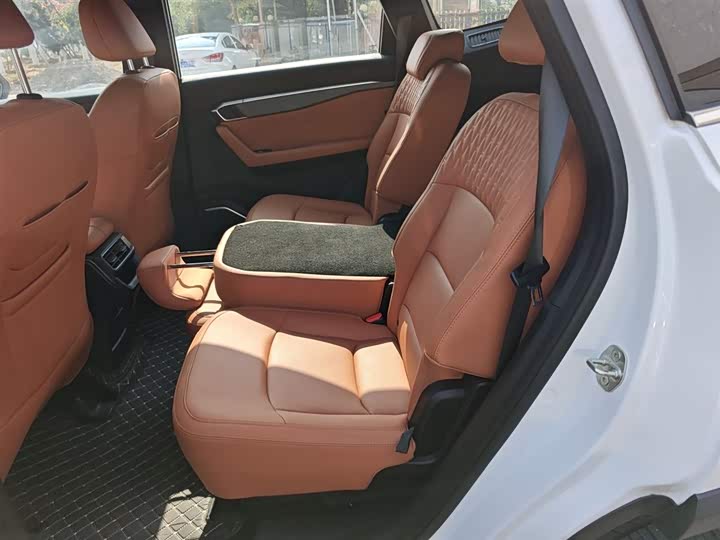 Geely Okavango L 2024 2024款 2.0T DCT旗舰型