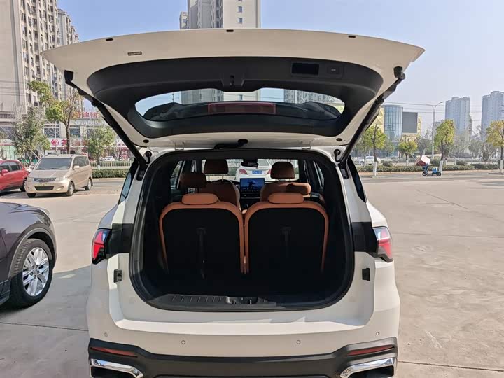 Geely Okavango L 2024 2024款 2.0T DCT旗舰型