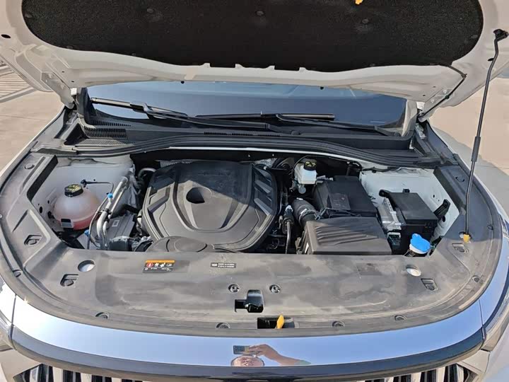 Geely Okavango L 2024 2024款 2.0T DCT旗舰型