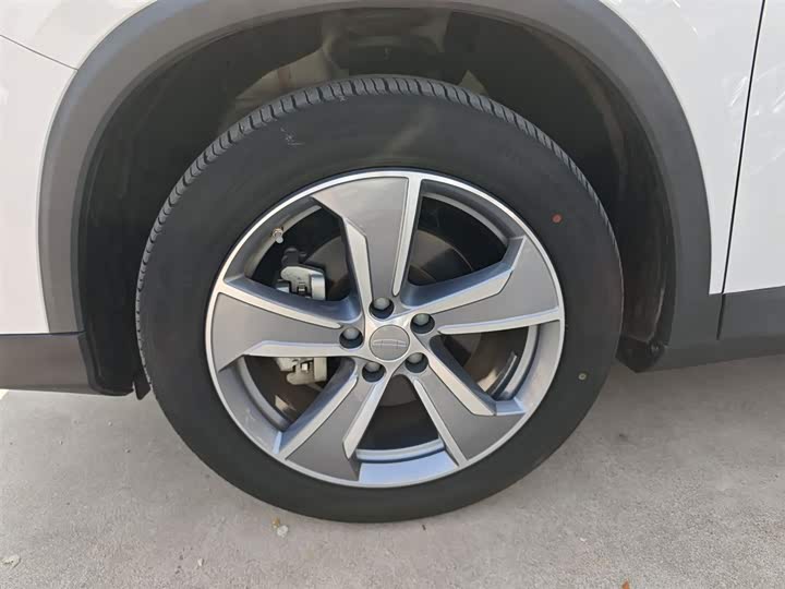 Geely Okavango L 2024 2024款 2.0T DCT旗舰型