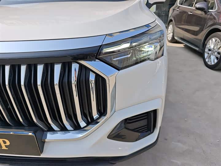 Geely Okavango L 2024 2024款 2.0T DCT旗舰型