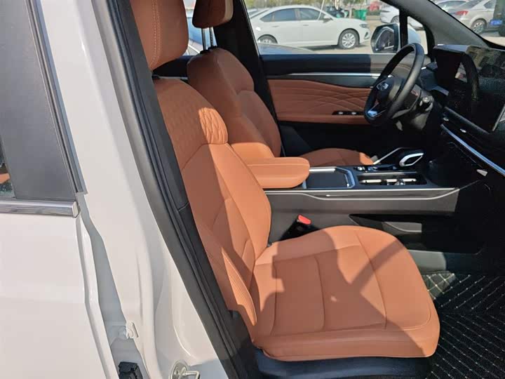 Geely Okavango L 2024 2024款 2.0T DCT旗舰型