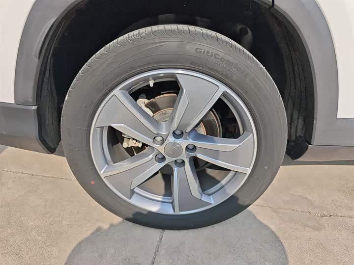 Geely Okavango L 2024 2024款 2.0T DCT旗舰型