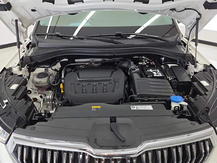 Skoda Kodiaq 2024 2024款 TSI330 5座两驱实力版