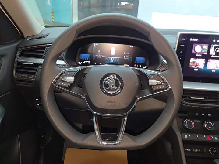 Skoda Kodiaq 2024 2024款 TSI330 5座两驱实力版