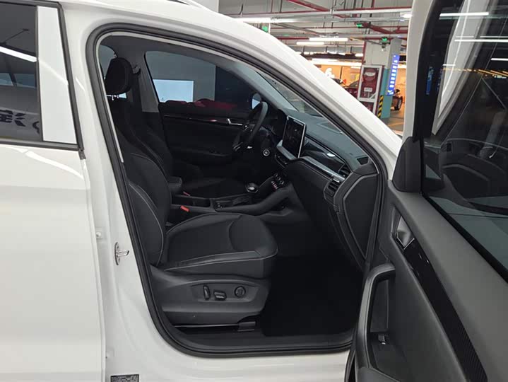 Skoda Kodiaq 2024 2024款 TSI330 5座两驱实力版