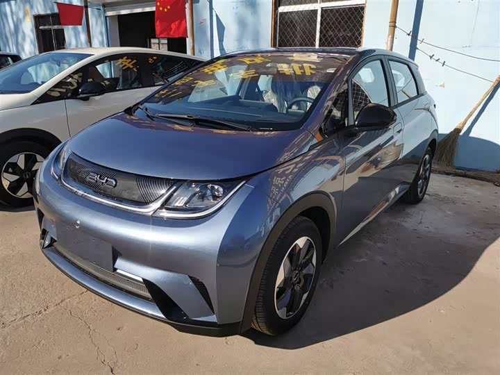 2025 BYD Dolphin