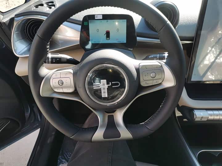 BYD Dolphin 2025 2025款 420km 自由版